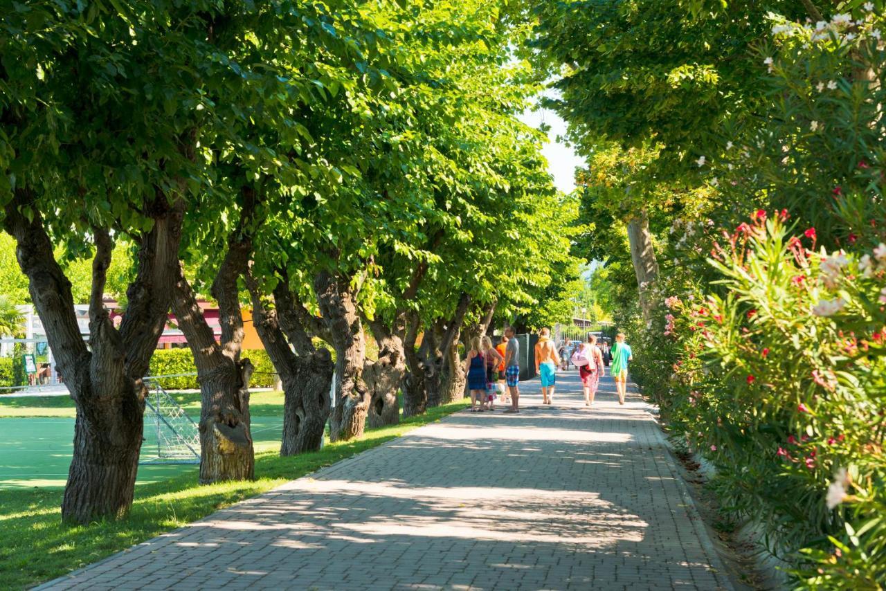 Village Du Parc Campeggio 3*